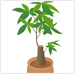 観葉植物の楽しみ方